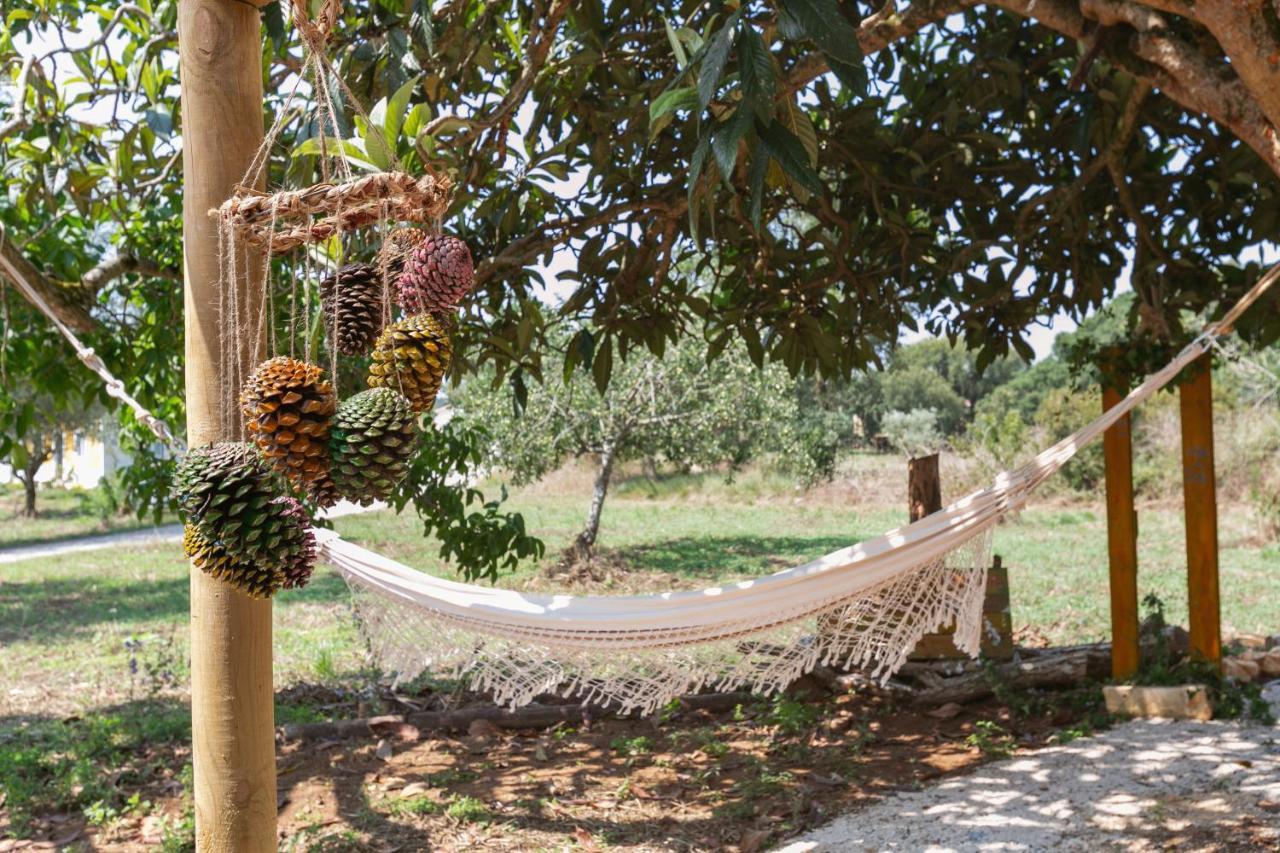 ריו מאיור Patio Serrano מראה חיצוני תמונה